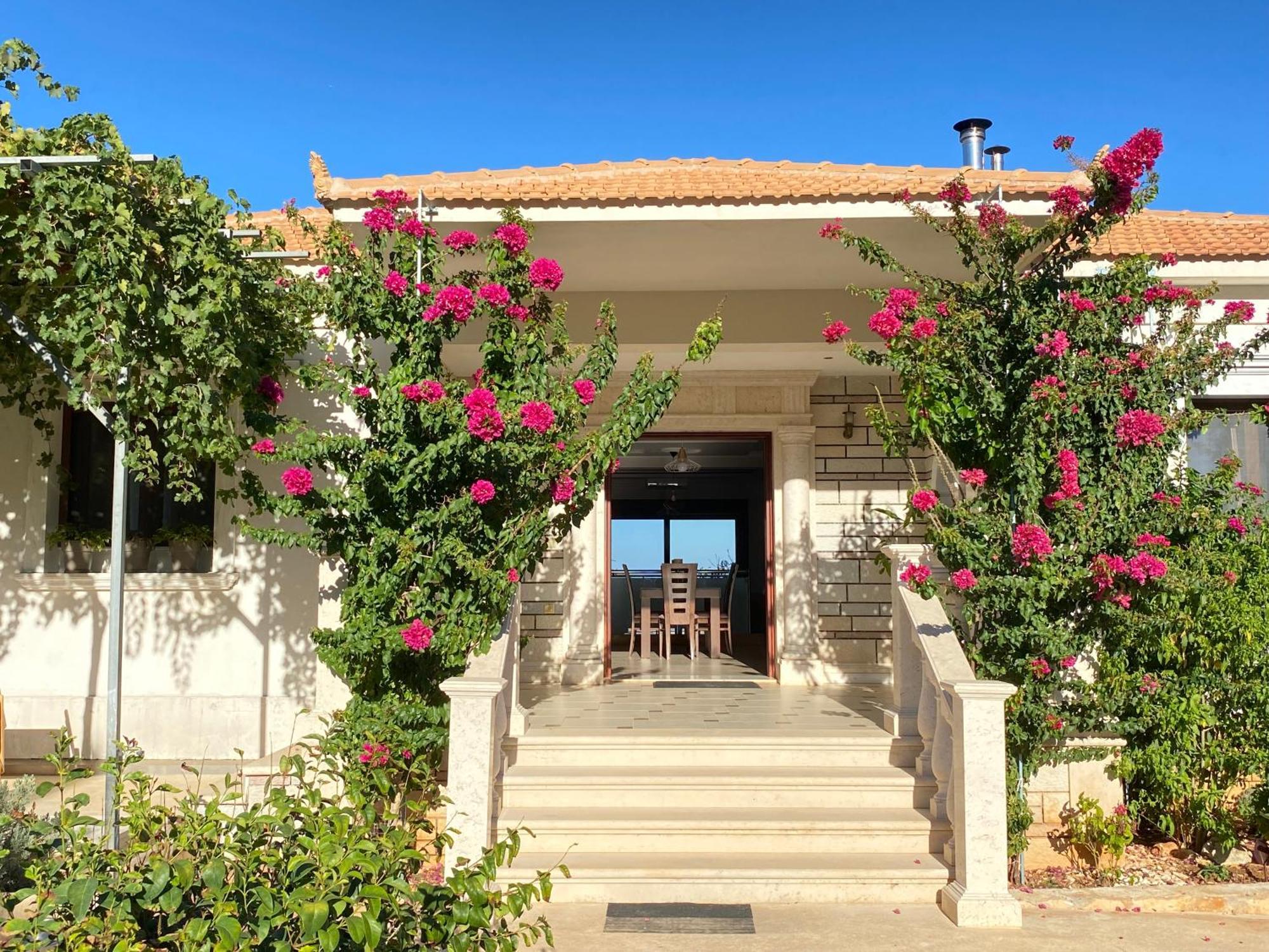 Villa Serenity Agia Marina  Exterior photo